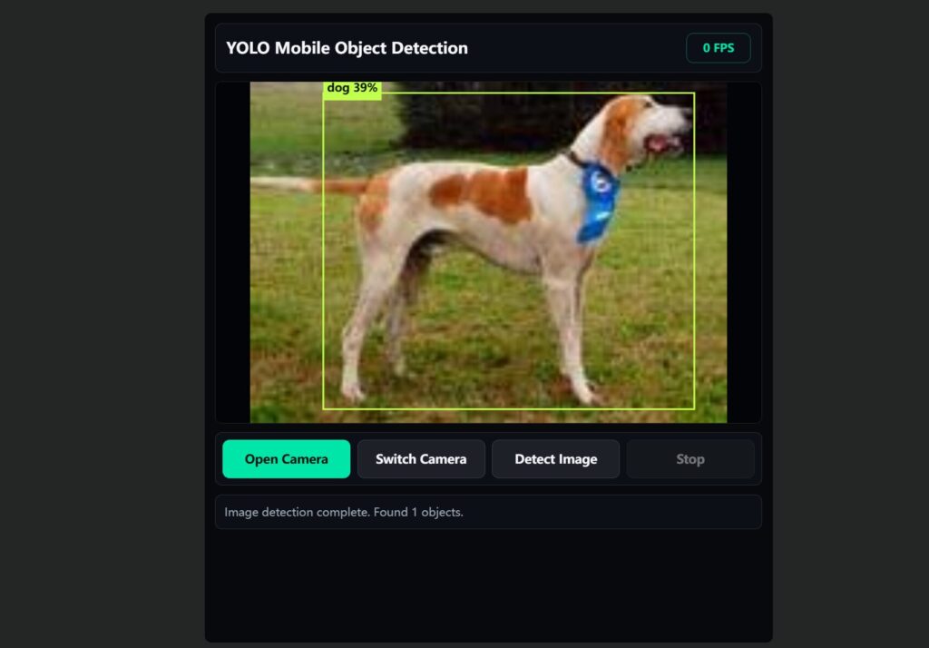 YOLO 静态网页 Demo 结果